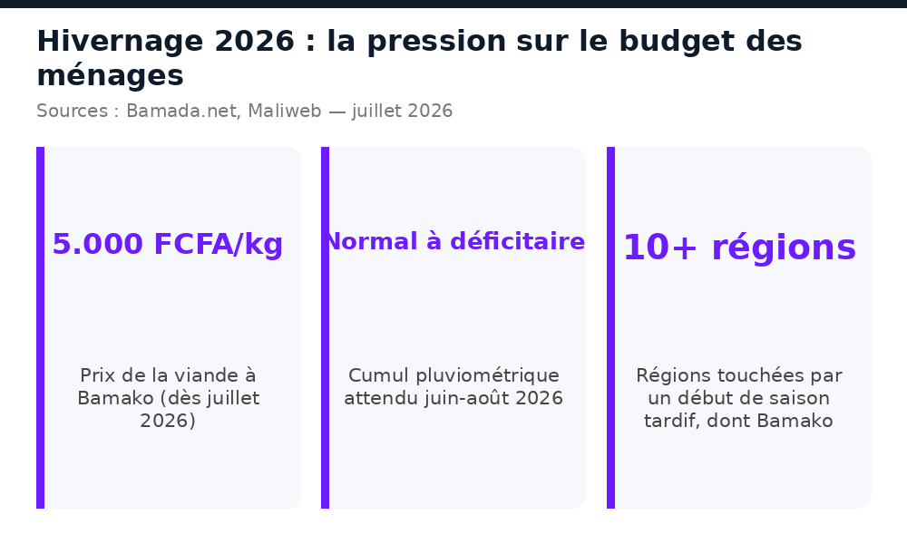 Chiffres clés : prix de la viande, pluviométrie et régions touchées par l'hivernage 2026 au Mali