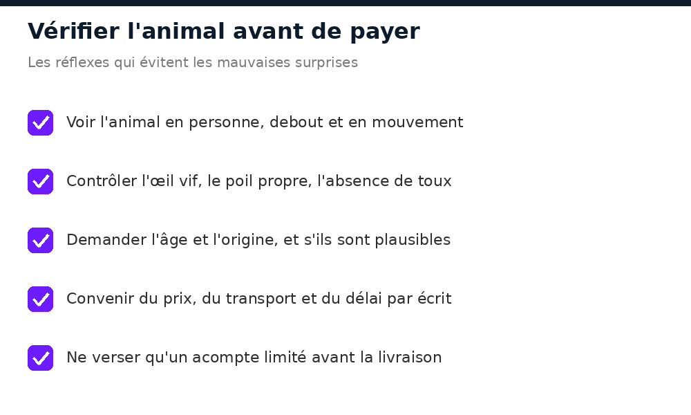 Vérifications à faire sur un animal acheté en ligne avant de payer le vendeur