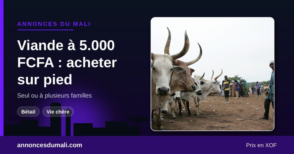 Viande à 5.000 FCFA le kilo à Bamako : acheter un animal sur pied en ligne